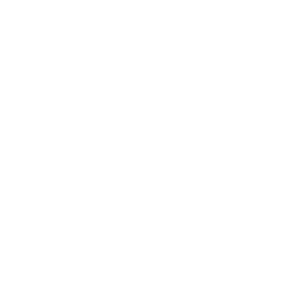 Logo-V33-white